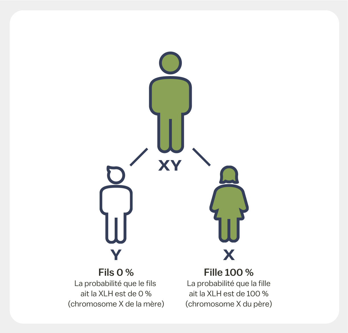 Père atteint de XLH et sa descendance