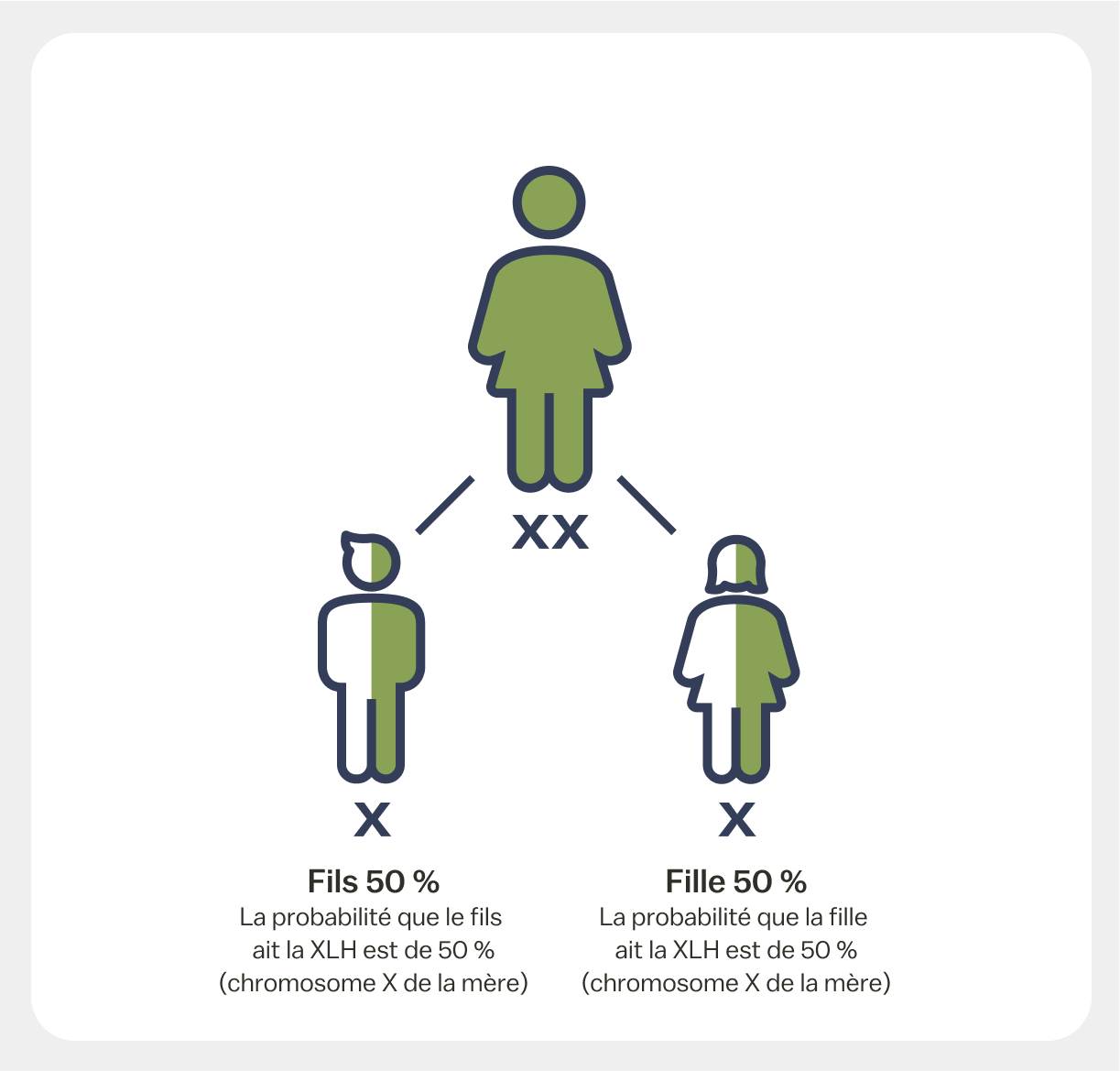Mère atteinte de XLH et sa descendance